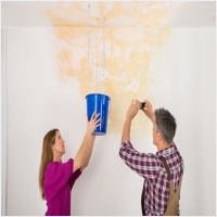 청인누수 PC 갤러리 9